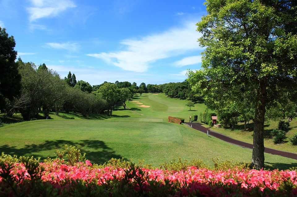 Nagasaki Kokusai (International) Nagasaki Kokusai (International)